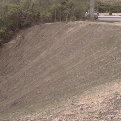 Before Application, Lack of Vegetation